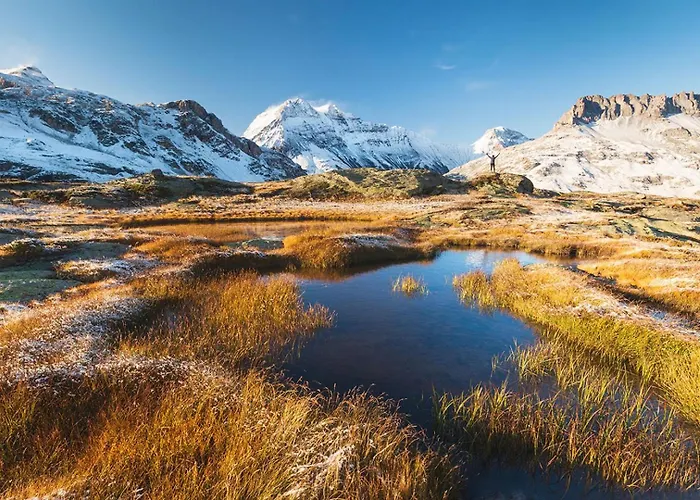 Апартаменти Maisonnee - A Charming Haven *