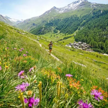 Maisonnee - A Charming Haven شقة *
