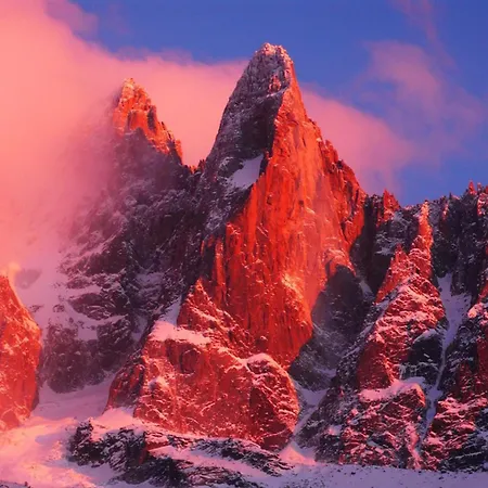 Maisonnee - A Charming Haven *