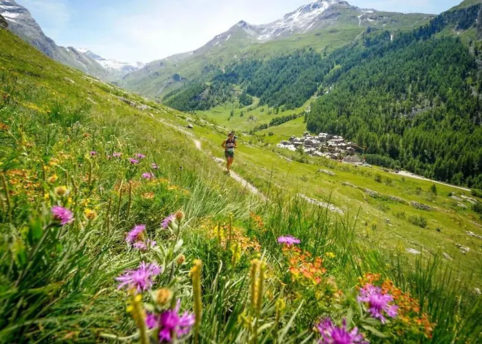 Maisonnee - A Charming Haven Appartement *