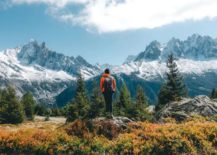 Maisonnee - A Charming Haven