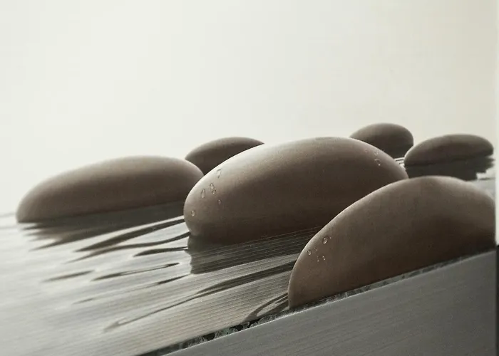 Maisonnee - A Charming Haven Chamonix